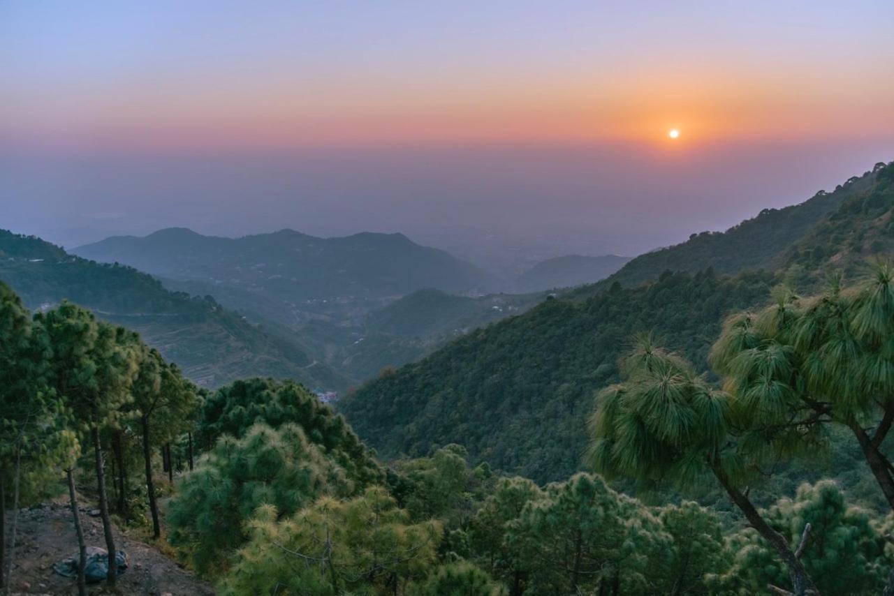 Panormic View By The North Edge Lejlighed Kasauli Eksteriør billede